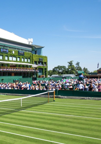 Wimbledon-Grounds